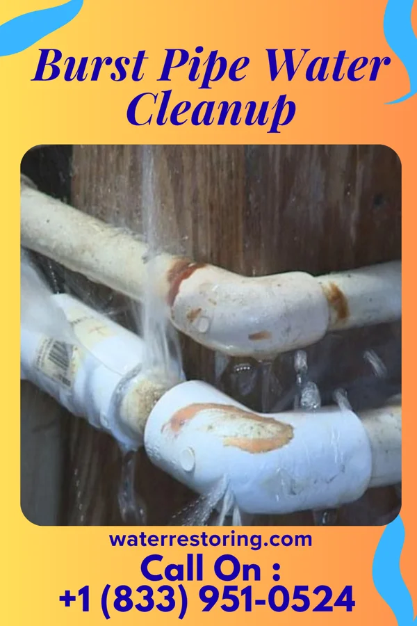 Burst Pipe Water Cleanup in McDowell, VA