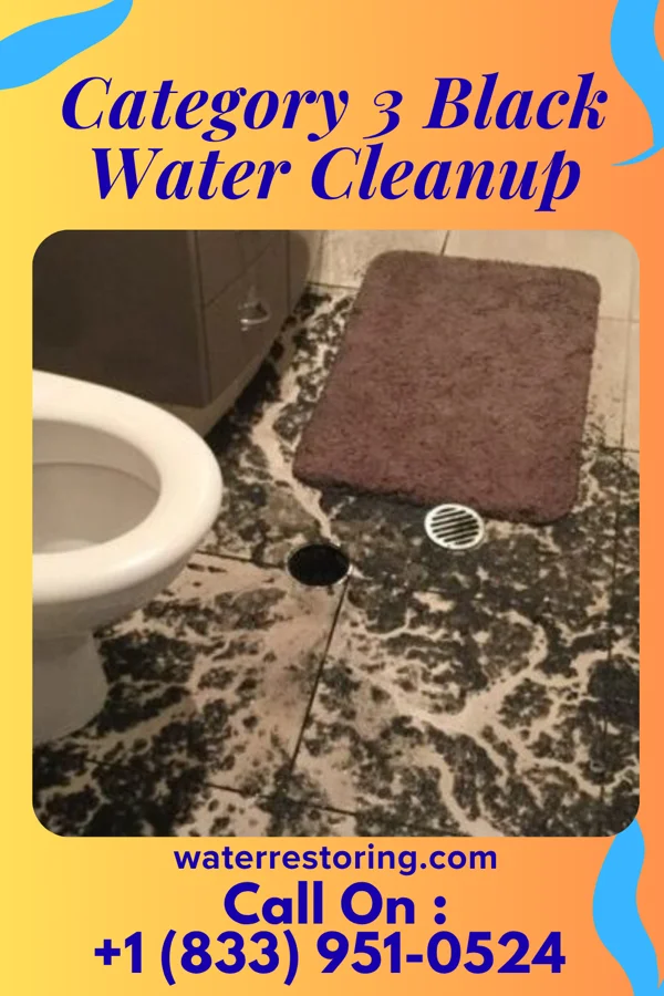 Category 3 Black Water Cleanup in McDowell, VA