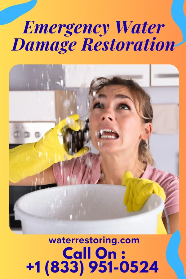 Emergency Water Damage Restoration in McDowell, VA