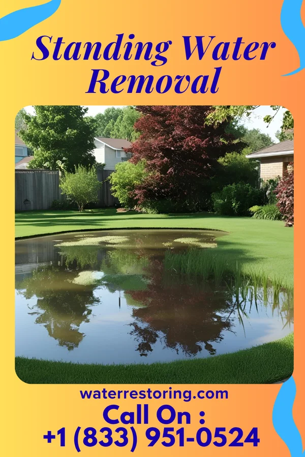 Standing Water Removal in McDowell, VA